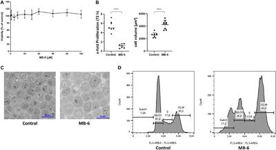 Mitochondrial Impairment by MitoBloCK-6 Inhibits Liver Cancer Cell Proliferation